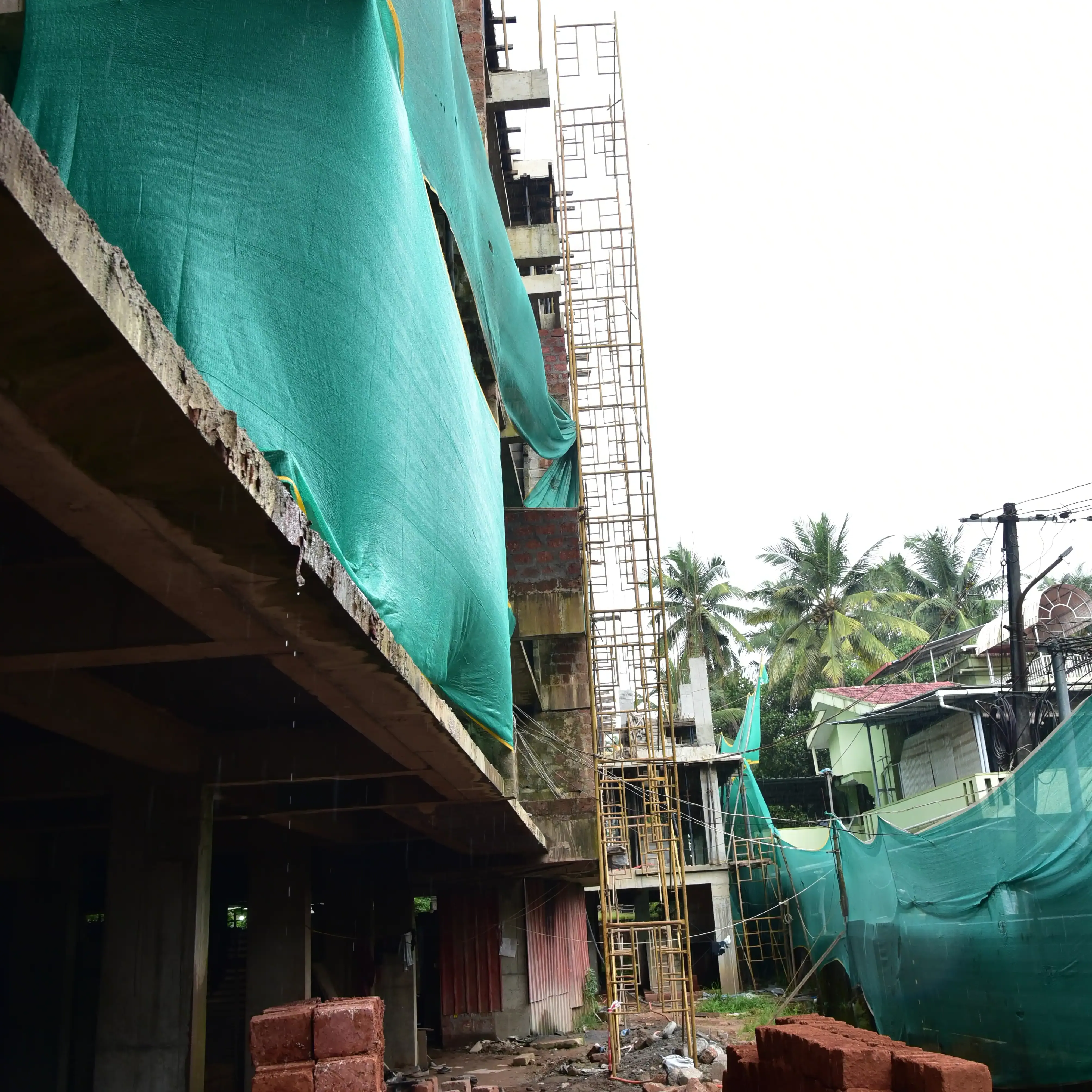 Project Updates ( September 15th 2026 ) - Photo 6